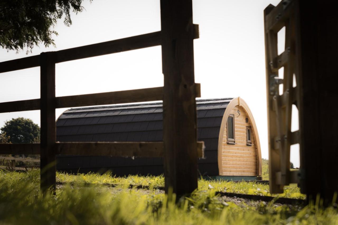 Luxury Two-Bed Glamping Pod In County Clare 2 Villa Kilbane Exterior foto