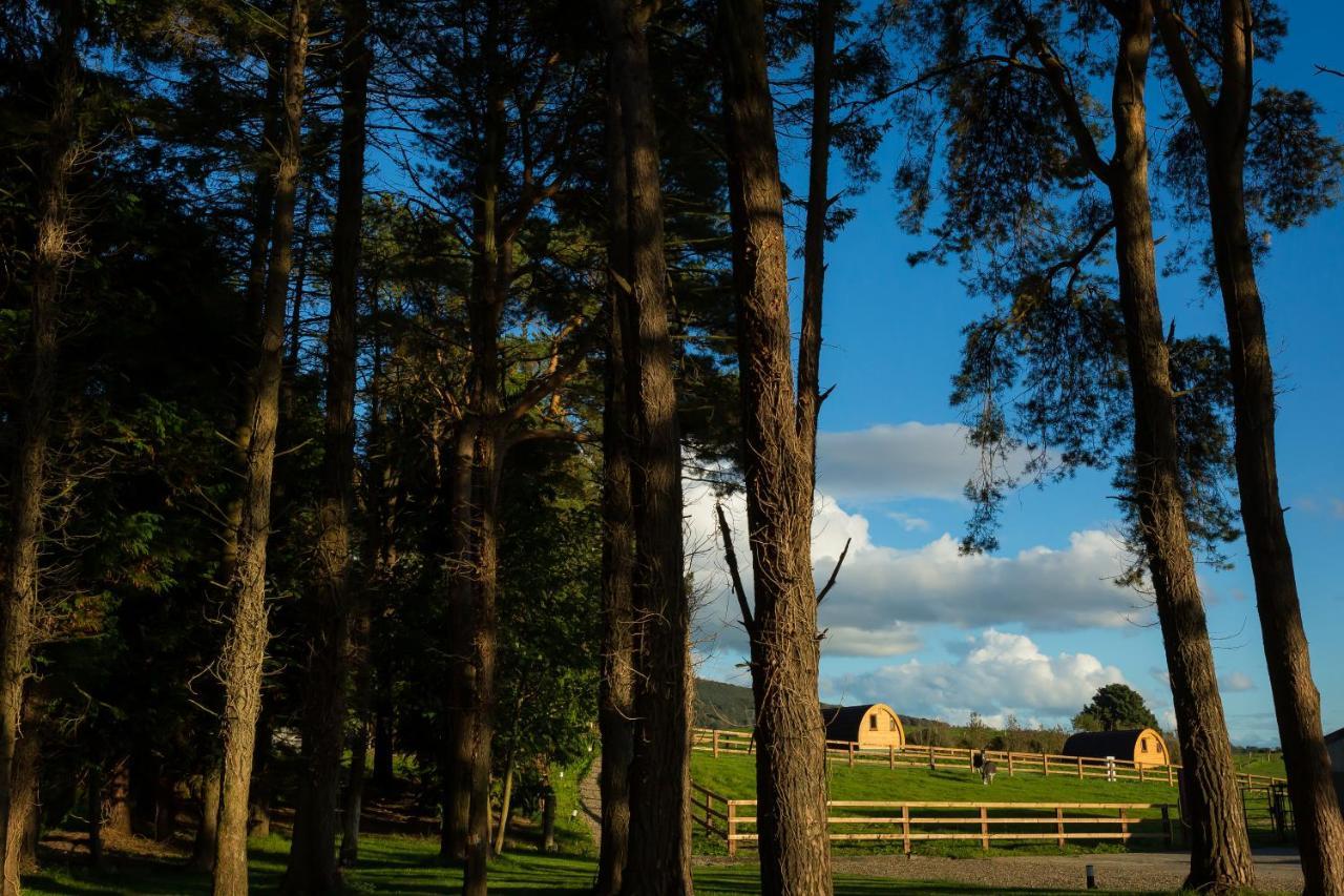 Luxury Two-Bed Glamping Pod In County Clare 2 Villa Kilbane Exterior foto